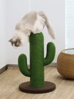 Cactus Scratching Post