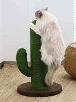 Cactus Scratching Post