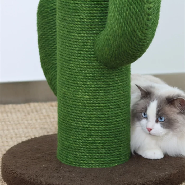 Cactus Scratching Post