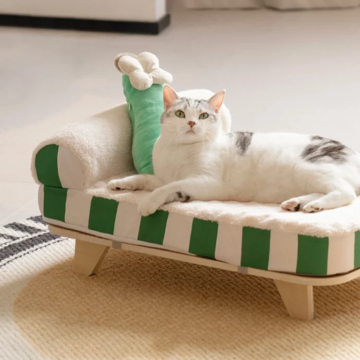 Elevated Cat Bed with Memory Foam Mattress