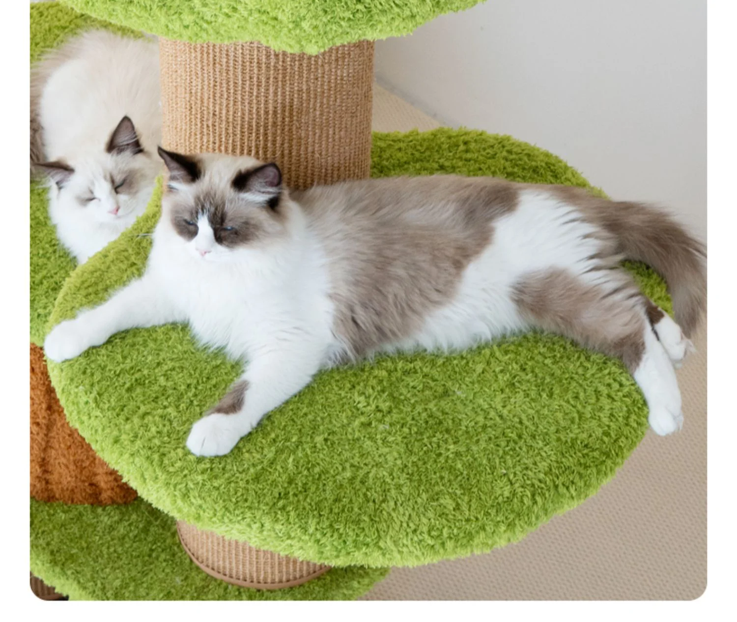 Green Mushroom Carpeted Cat Tree