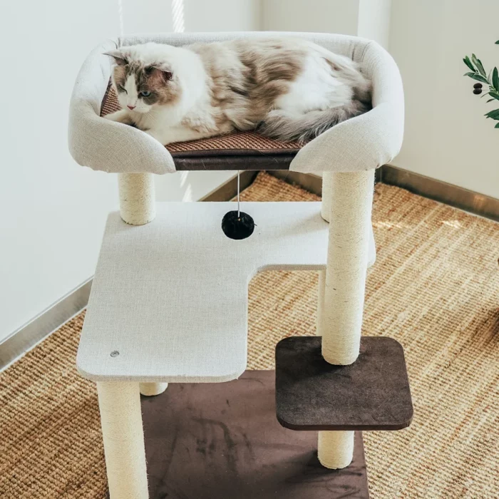 Small Modern Cat Tree with Large Perch