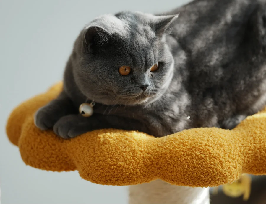 A cat is perching on this sunflower cat tower.