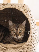 Wicker Boho-chic Cat Tree with Cattail Woven Nest