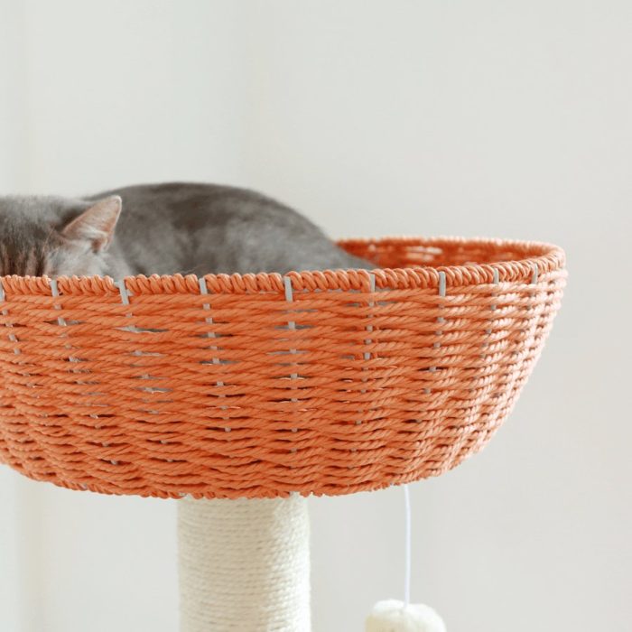 A cat is perching at this woven basket.