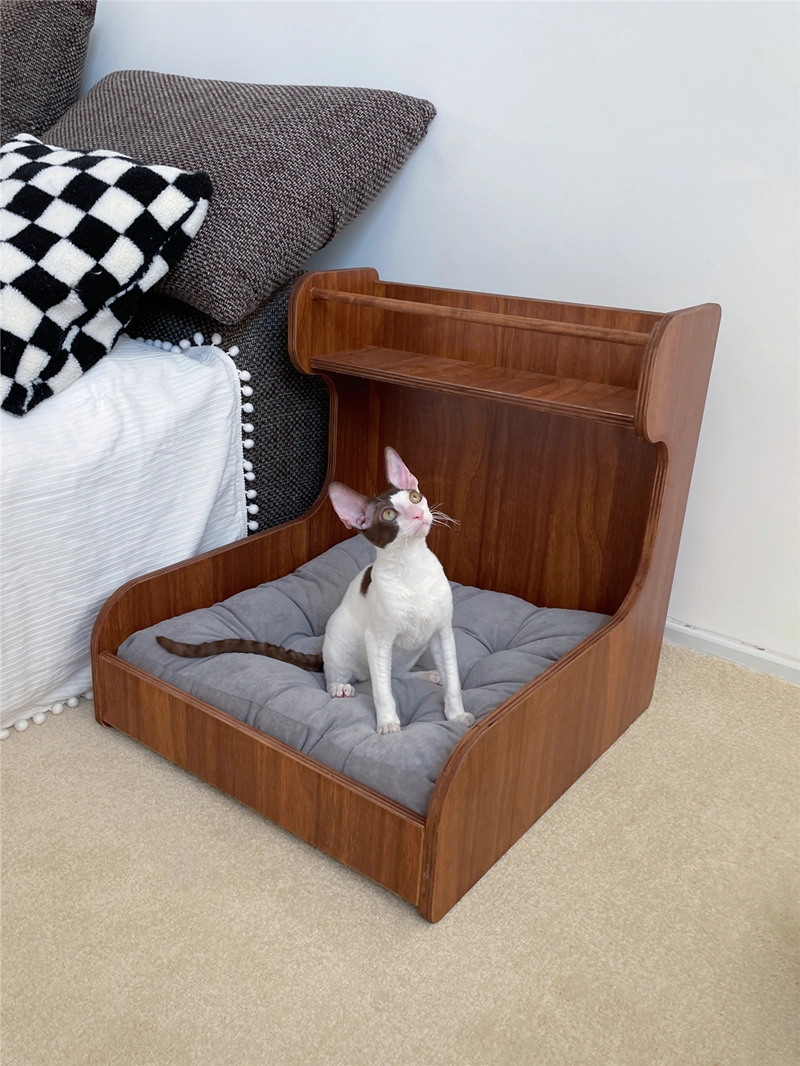 A Devon Rex is sitting on this luxury solid wood cat bed.