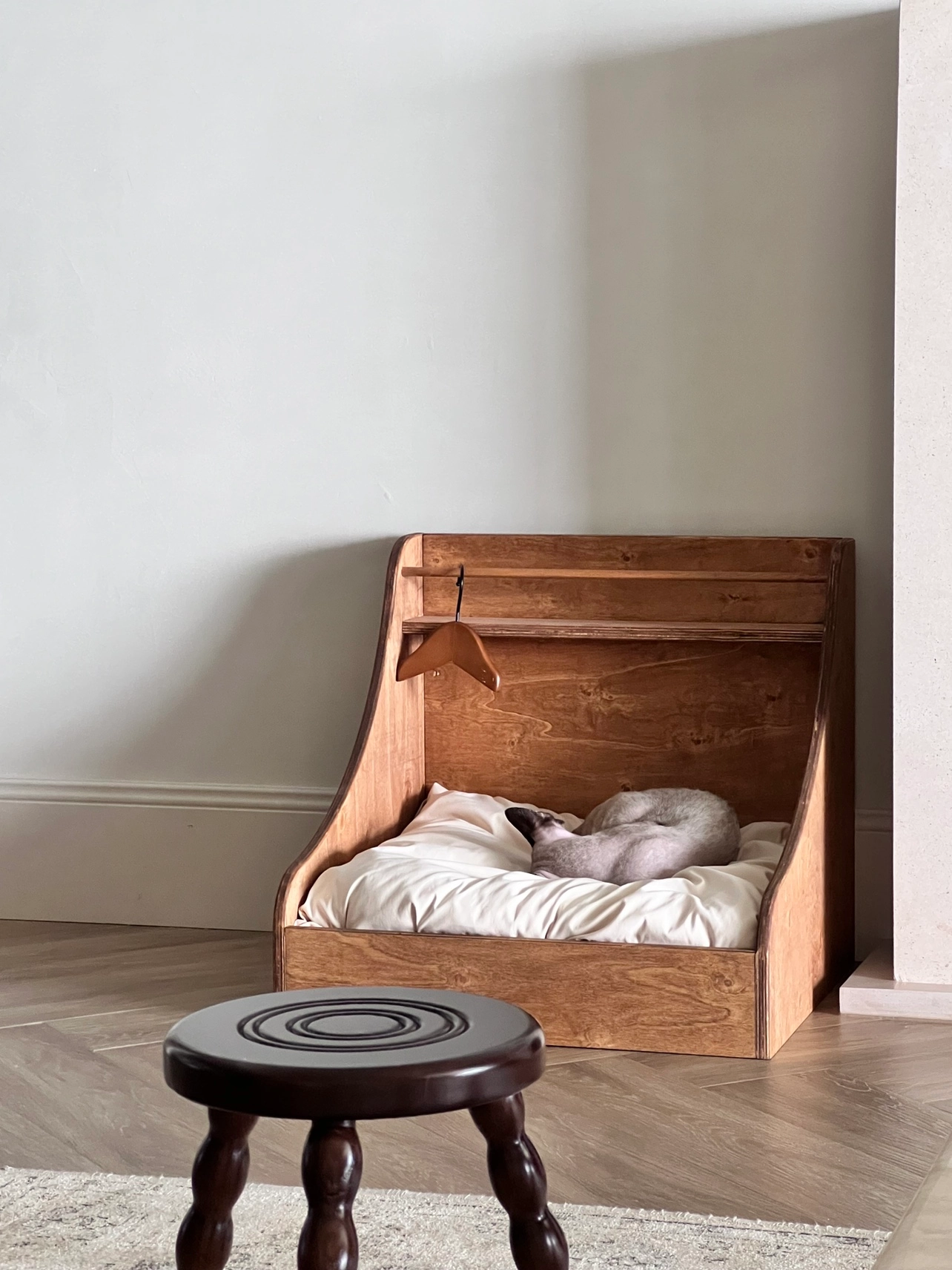 A Sphynx cat curls up on this vintage solid wood cat bed.