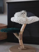 A cat is perching at this simple small flower cat tree.