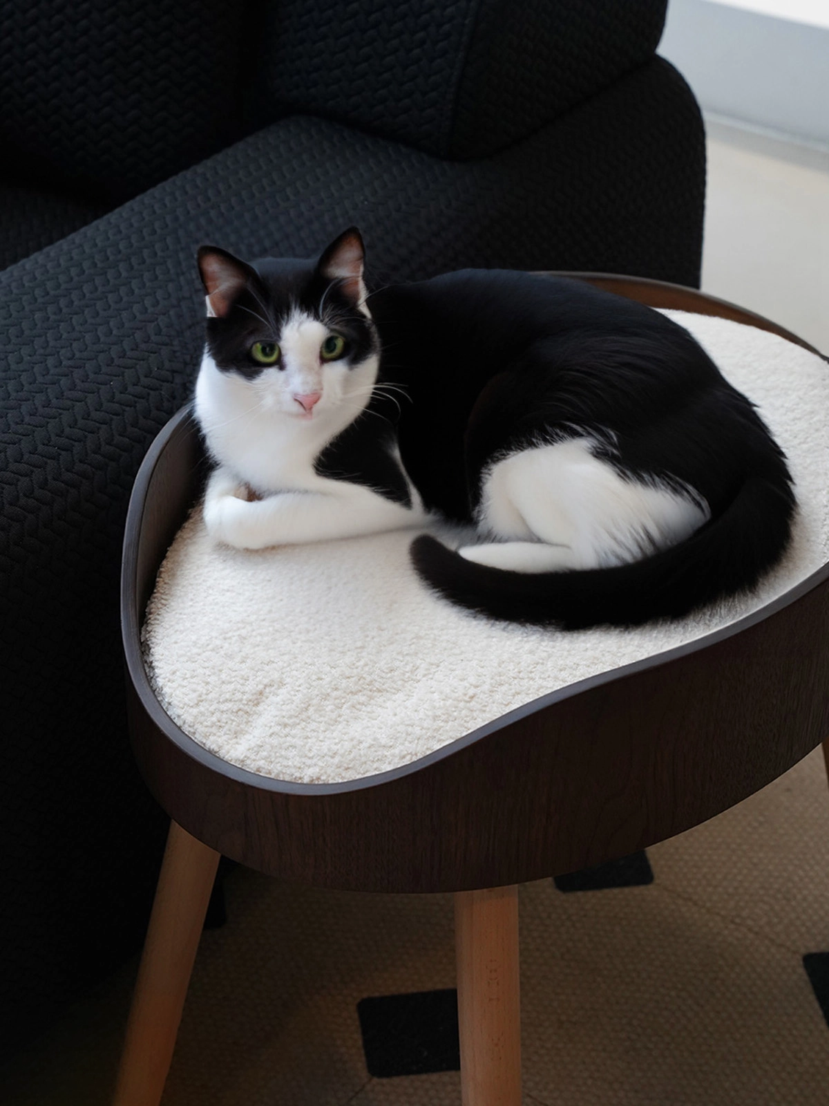 A furry cat is lying on an exquisite elevated solid wood cat bed.