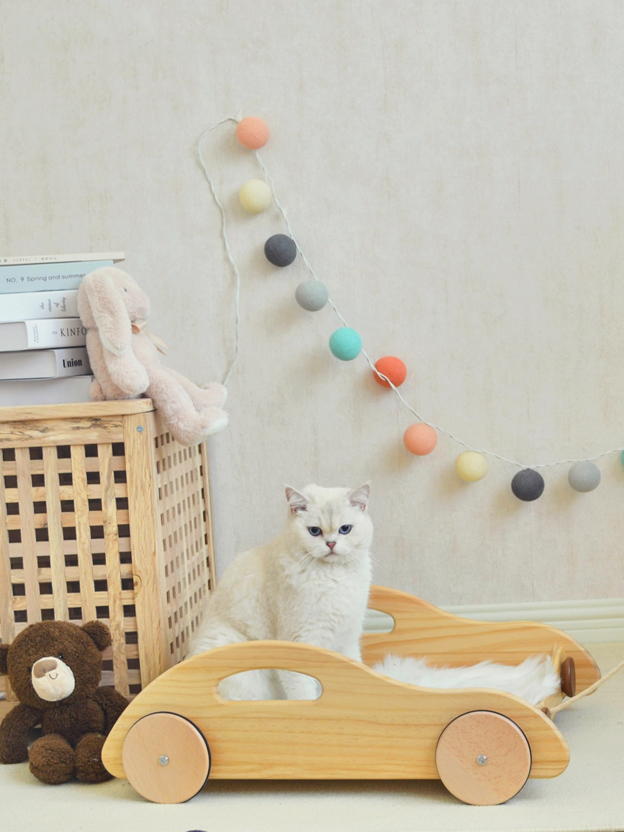 A furry cat sits on a wooden racing car-shaped cat bed.