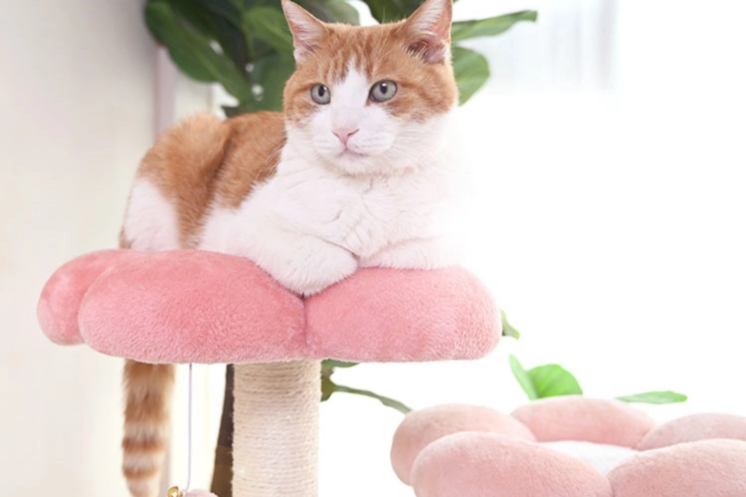 A large cat is perching on this large cherry blossom cat carpet tower