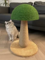 Green Mushroom Cat Scratcher