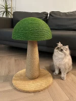 Green Mushroom Cat Scratcher