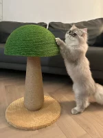 Green Mushroom Cat Scratcher