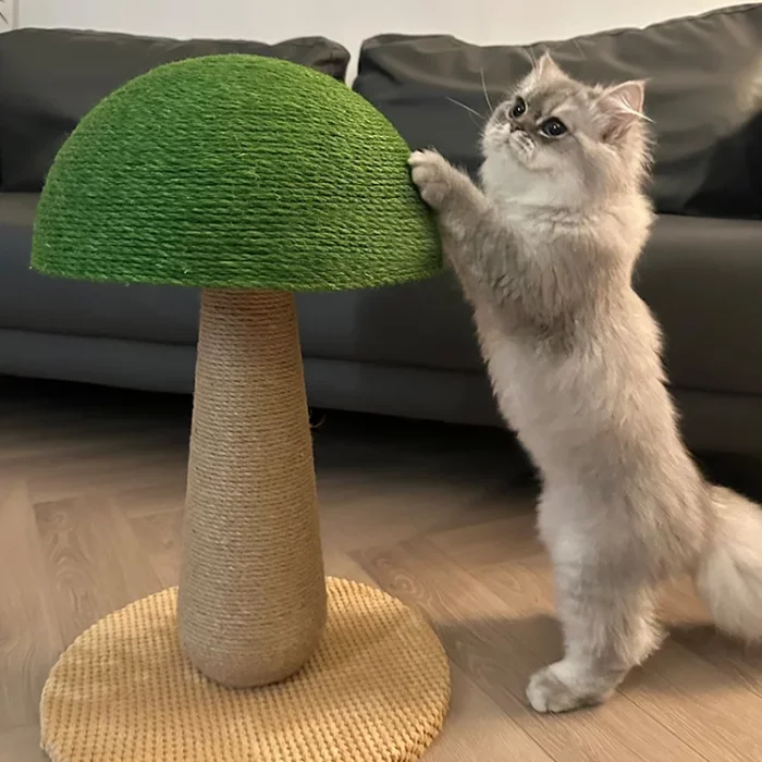 Green Mushroom Cat Scratcher