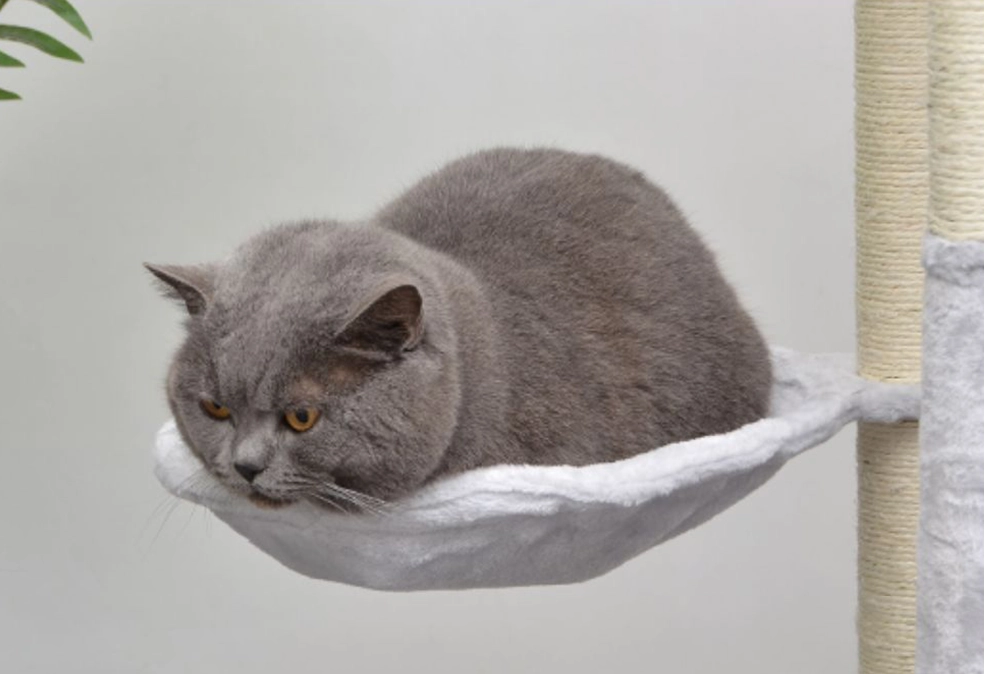 Hammock - Large Grey Color Carpet Cat Tower