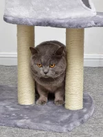 Large Grey Color Carpet Cat Tower