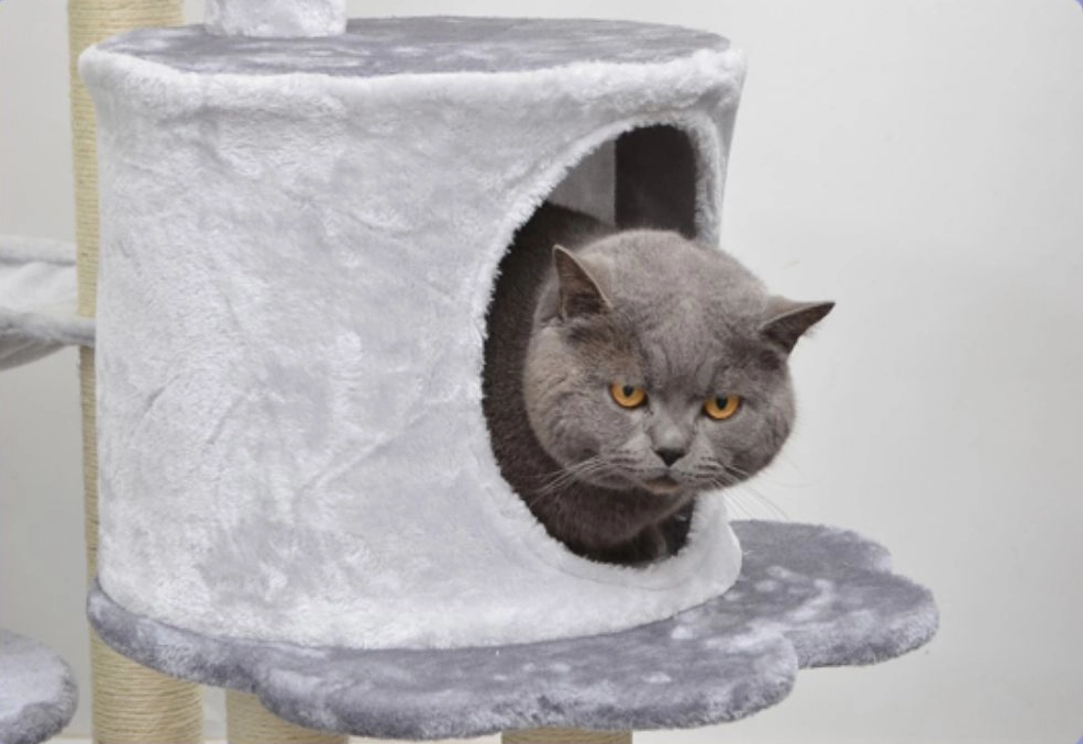 Large condo - Large Grey Color Carpet Cat Tower