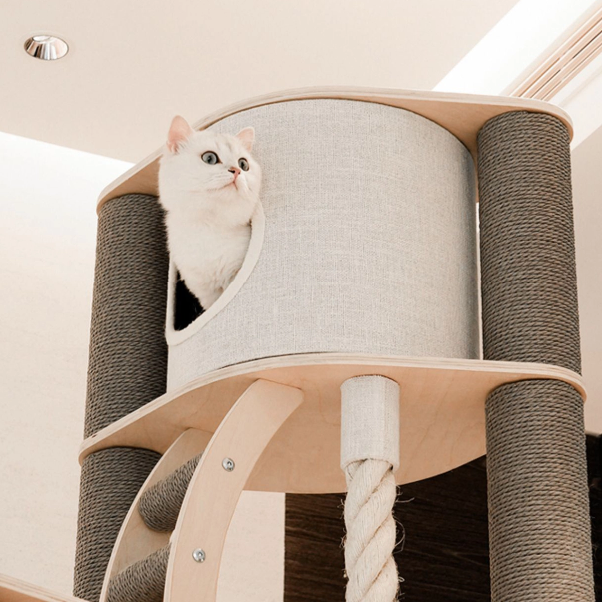 Large condo - Large Wooden Cat Condo for Multi Cats