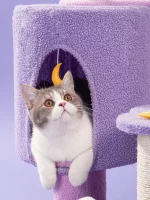 Moonlight Carpet Cat Tree