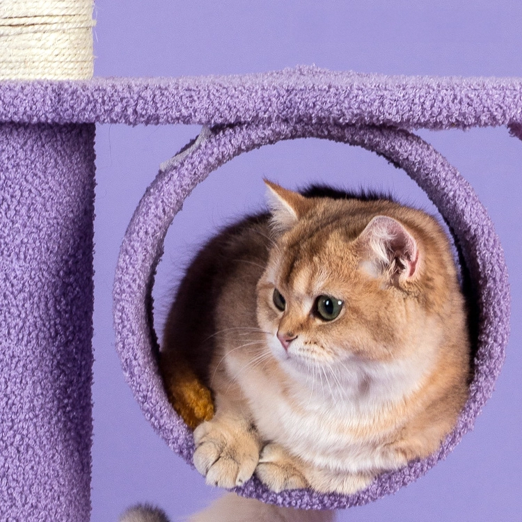 Moonlight Carpet Cat Tree - Tunnel