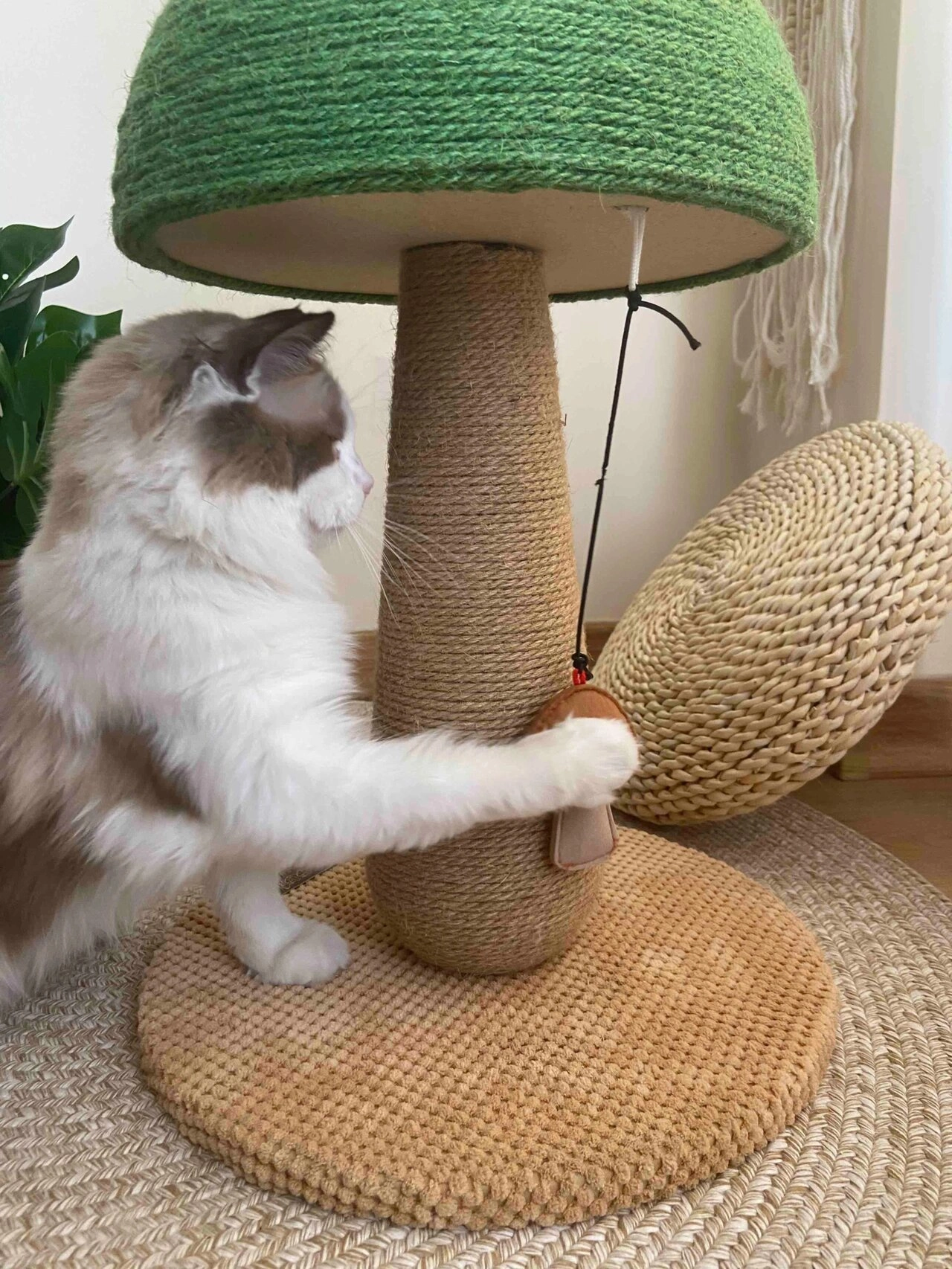 Mushroom-shaped Cat Scratcher