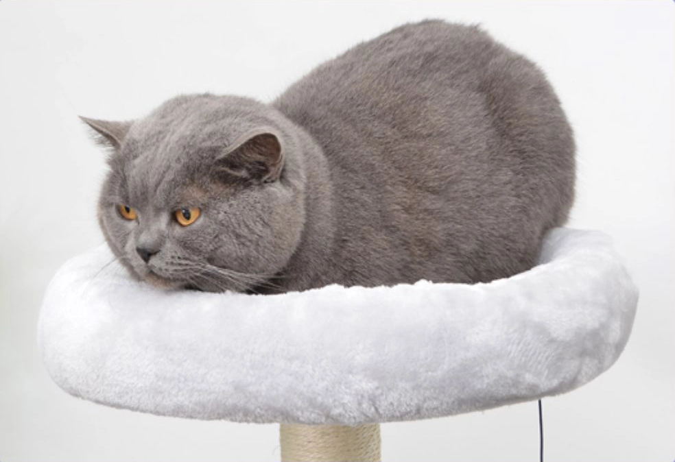 Plush perch - Large Grey Color Carpet Cat Tower