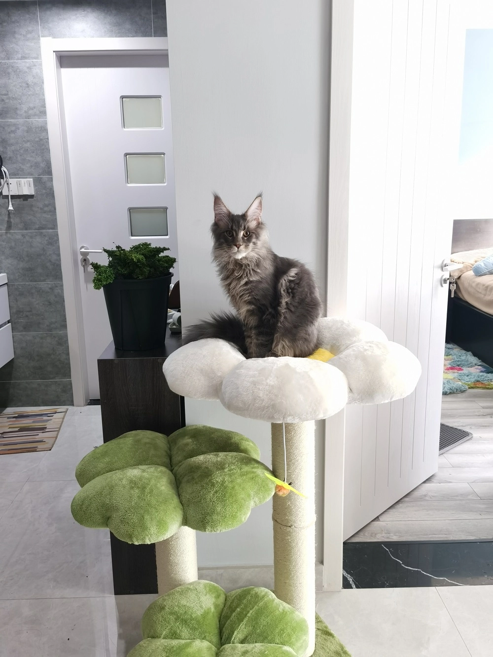 Reviews of Four Leaf Clover Cat Tree