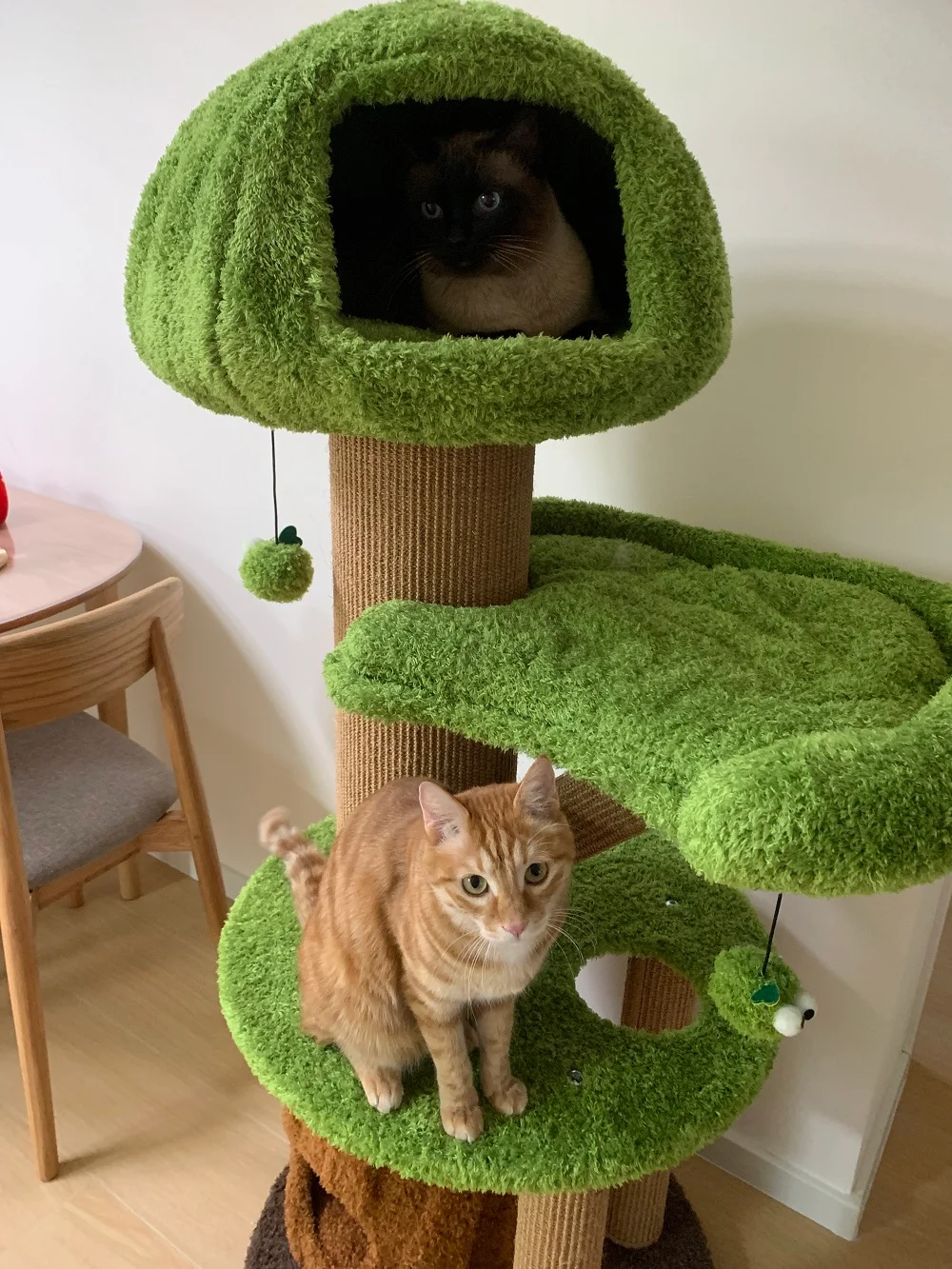 Reviews of Mushroom Cat Tree