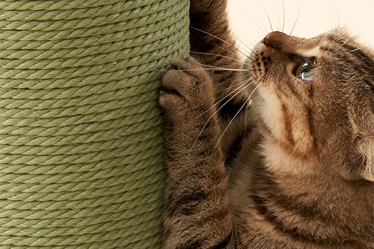 Vertical Cat Scratching Post - Wrapped with paper rope