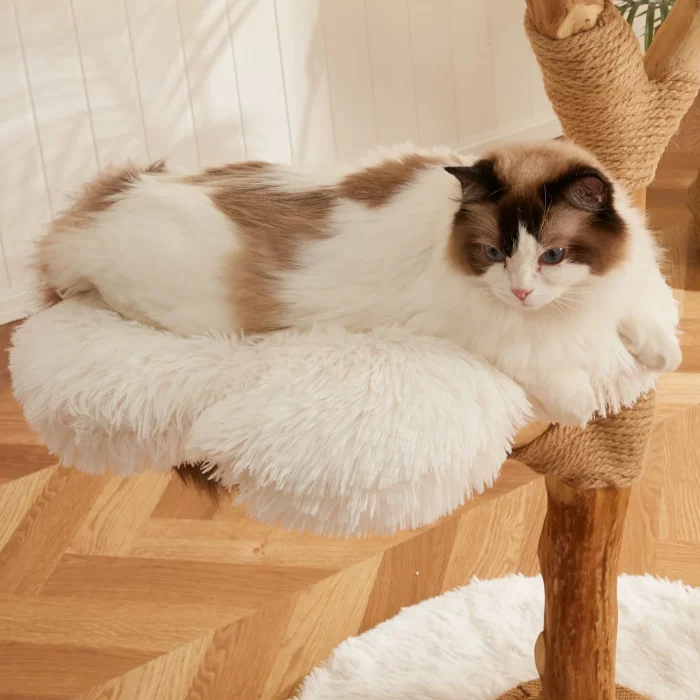 White Cloud Flower Shape Deluxe Cat Tree - Cat perches at the cat tree