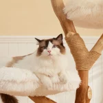 White Cloud Flower Shape Deluxe Cat Tree - Cat perches at the cat tree