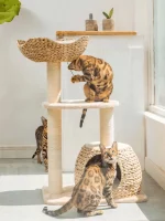 Wicker Boho-chic Cat Tree with Cattail Woven Nest