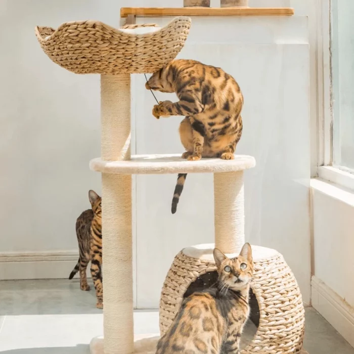 Wicker Boho-chic Cat Tree with Cattail Woven Nest