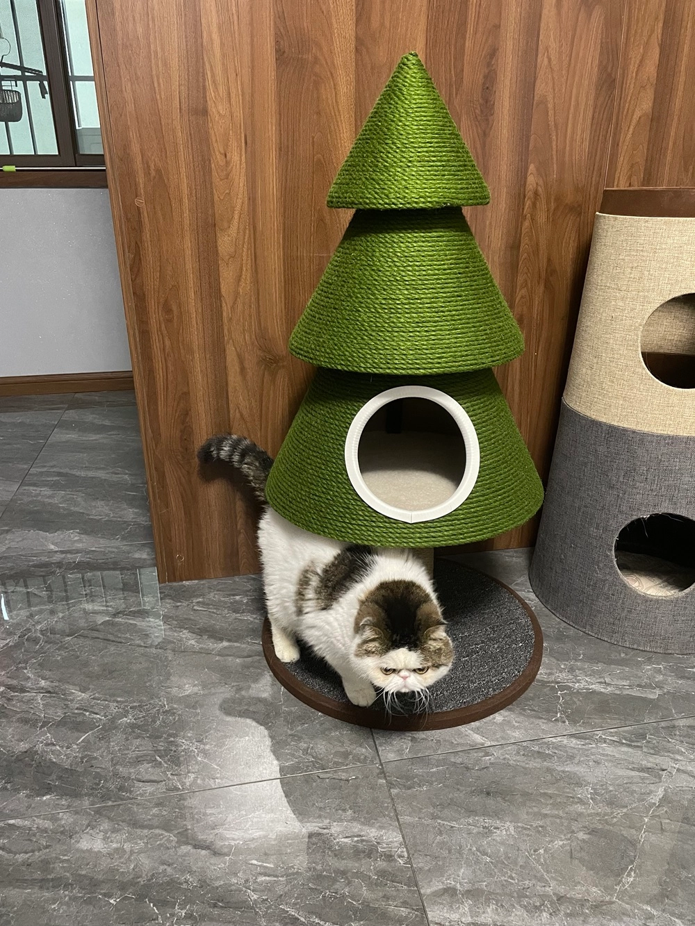 A cat is playing with this Christmas cat tree.