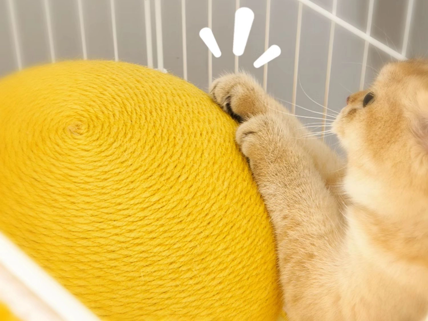 A cat is scratching at this yellow mushroom scratcher.