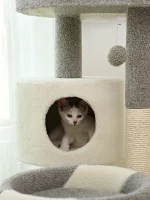 Carpet Cat Tree for Small Apartment