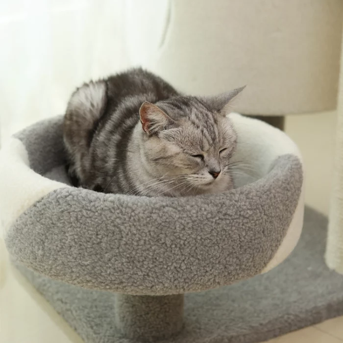 Carpet Cat Tree for Small Apartment