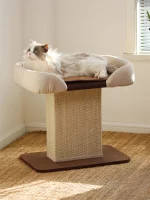 Cat Scratcher with Large Perch