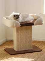 Cat Scratcher with Large Perch