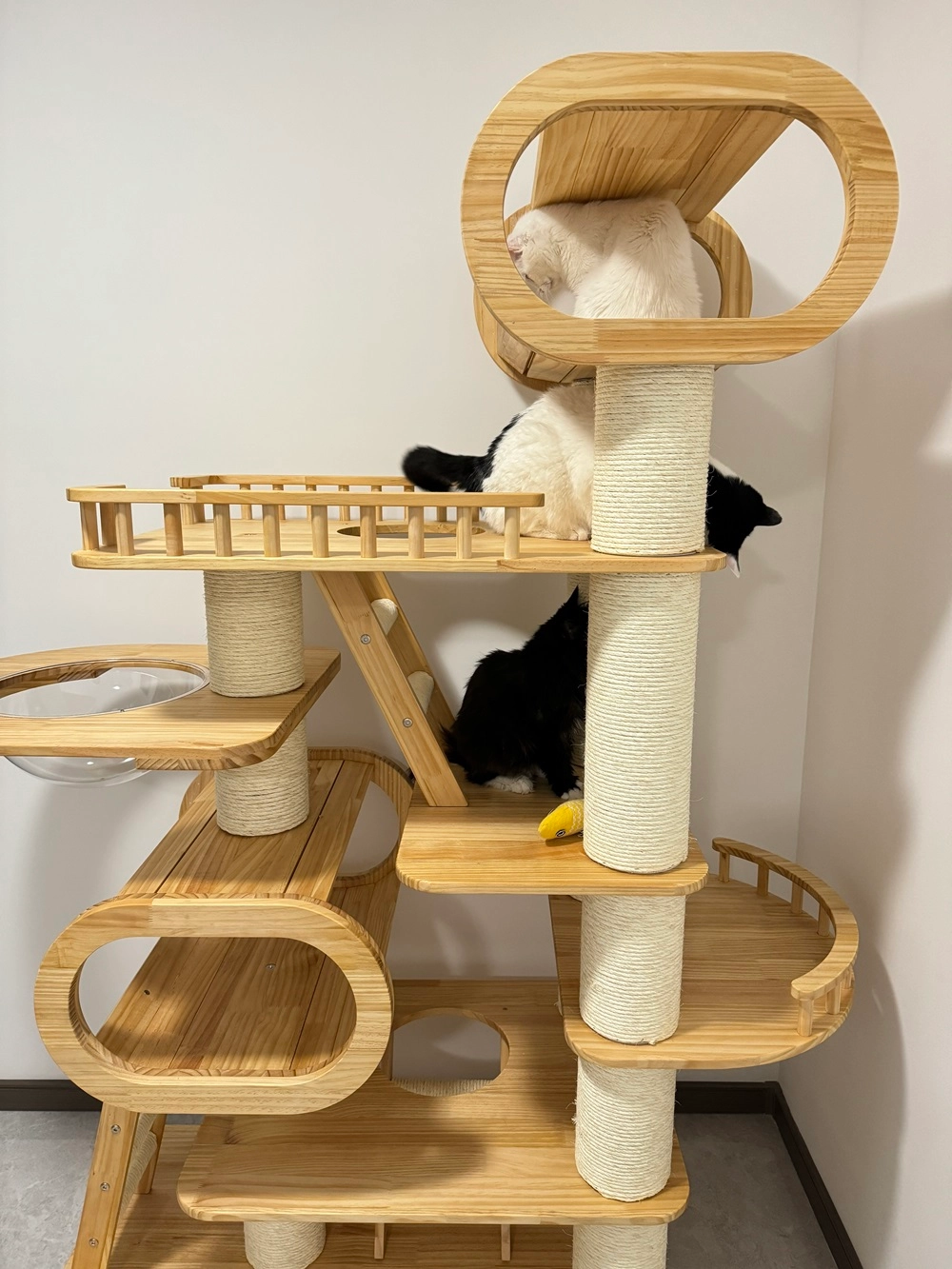 Cats perch on this large solid wood cat tree.