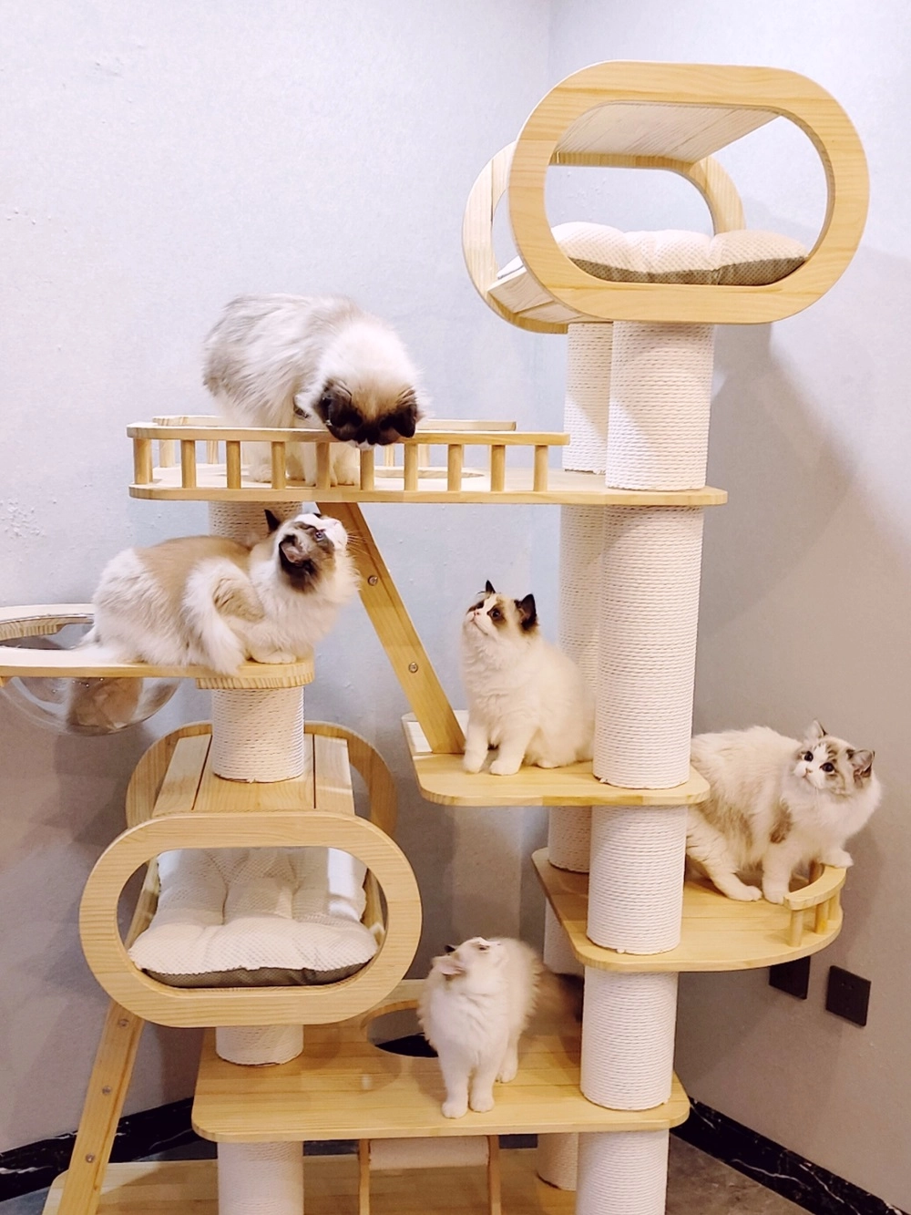Cats perch on this large solid wood cat tree.