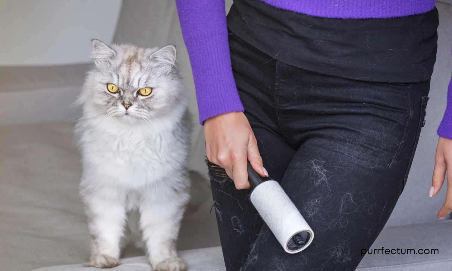 How to Clean A Cat Tree - Step4 Remove hidden cat hair