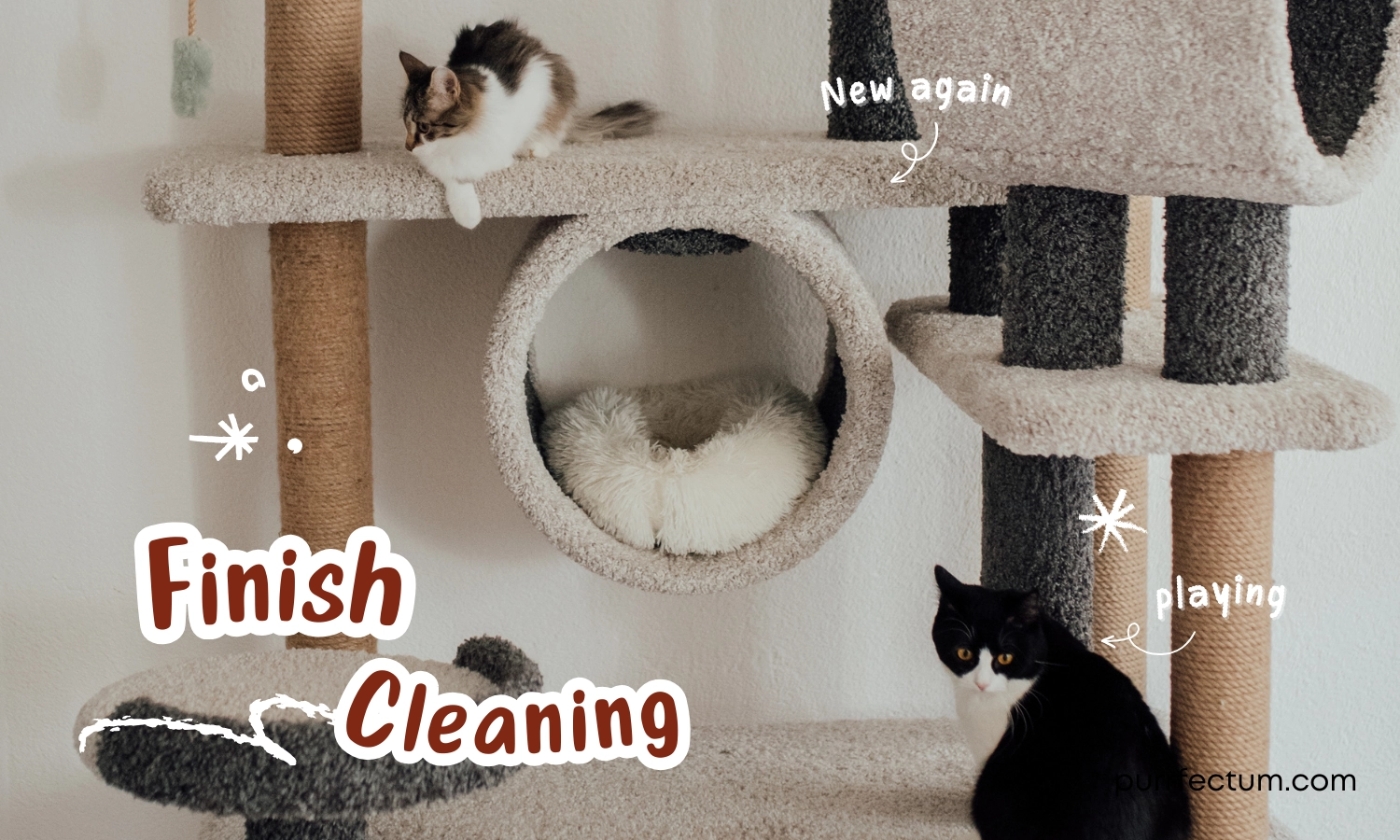 How to Clean A Cat Tree - Step9 Reassembling your cat tree