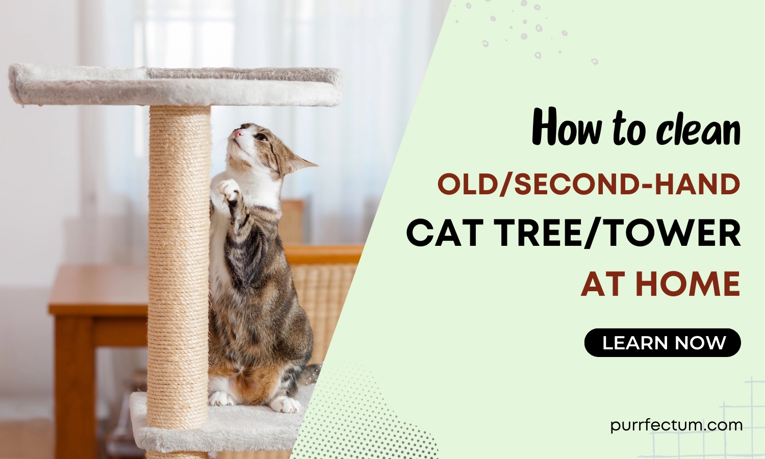 How to Clean A Cat Tree in 9 Easy Steps!