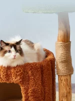 Luxury Real Branch Carpet Cat Condo