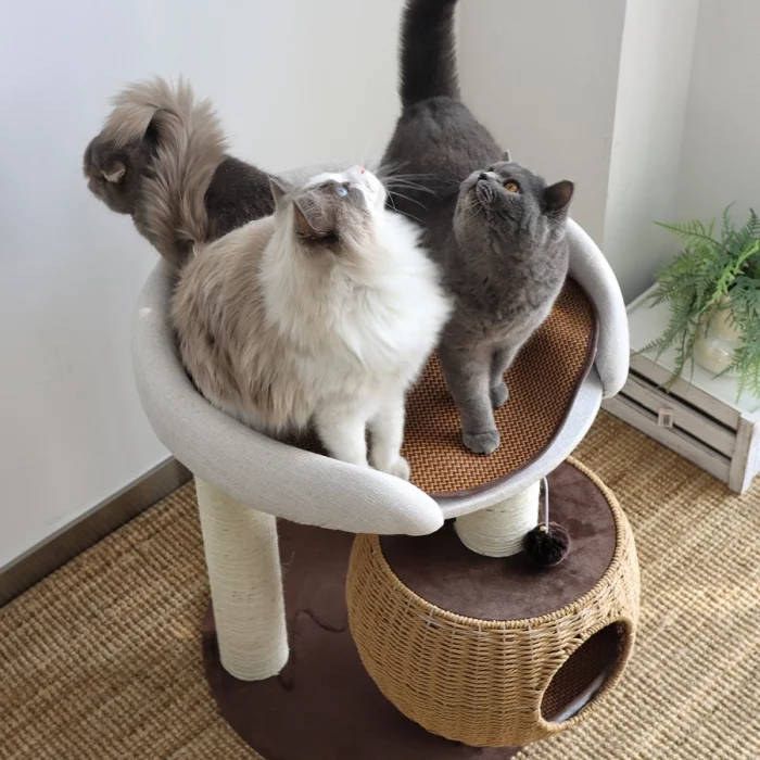 Round Cat Tower with Wicker Nest and Large Perch - Large perch