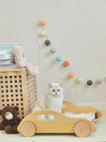 Solid Wood Car-shaped Cat Bed