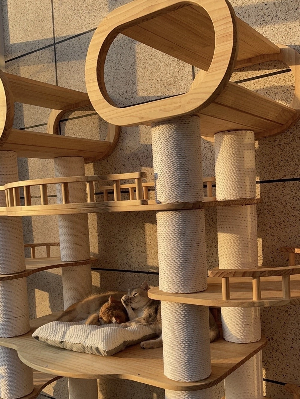 The largest wooden cat tree for multi-cat household