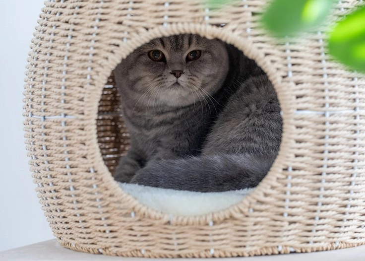 Wicker Cat Tower with Hammock - Wicker condo